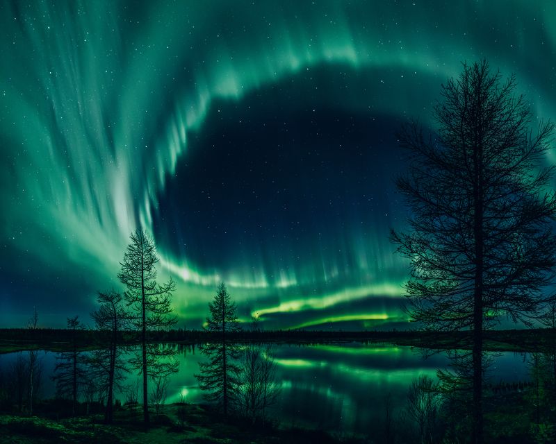 ямал, арктика, север, полярное сияние В осеннем танцеphoto preview