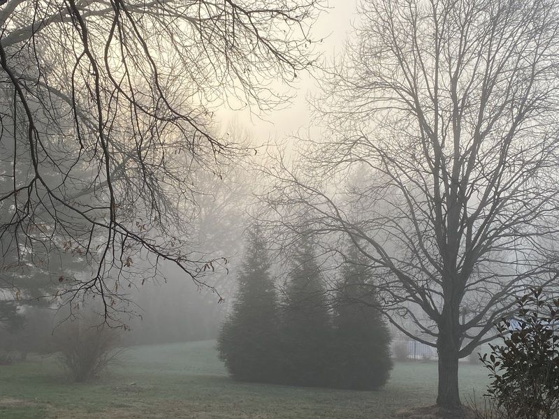 Foggy perspective Before the stormphoto preview