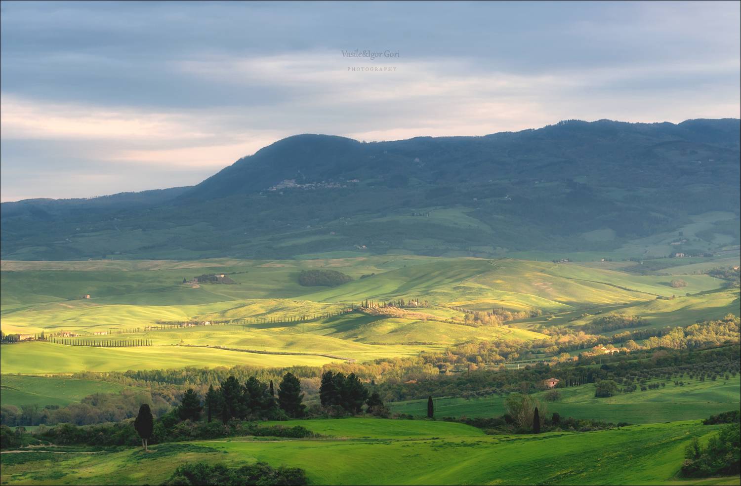 italy, san quirico d'orcia,italia,италия,тоскана,pienza,кипарис,toscana,весна,tuscany,cipressi,belvedere,пьенца,тени, Гори Василий