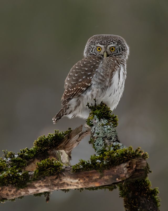 Непогода фото превью