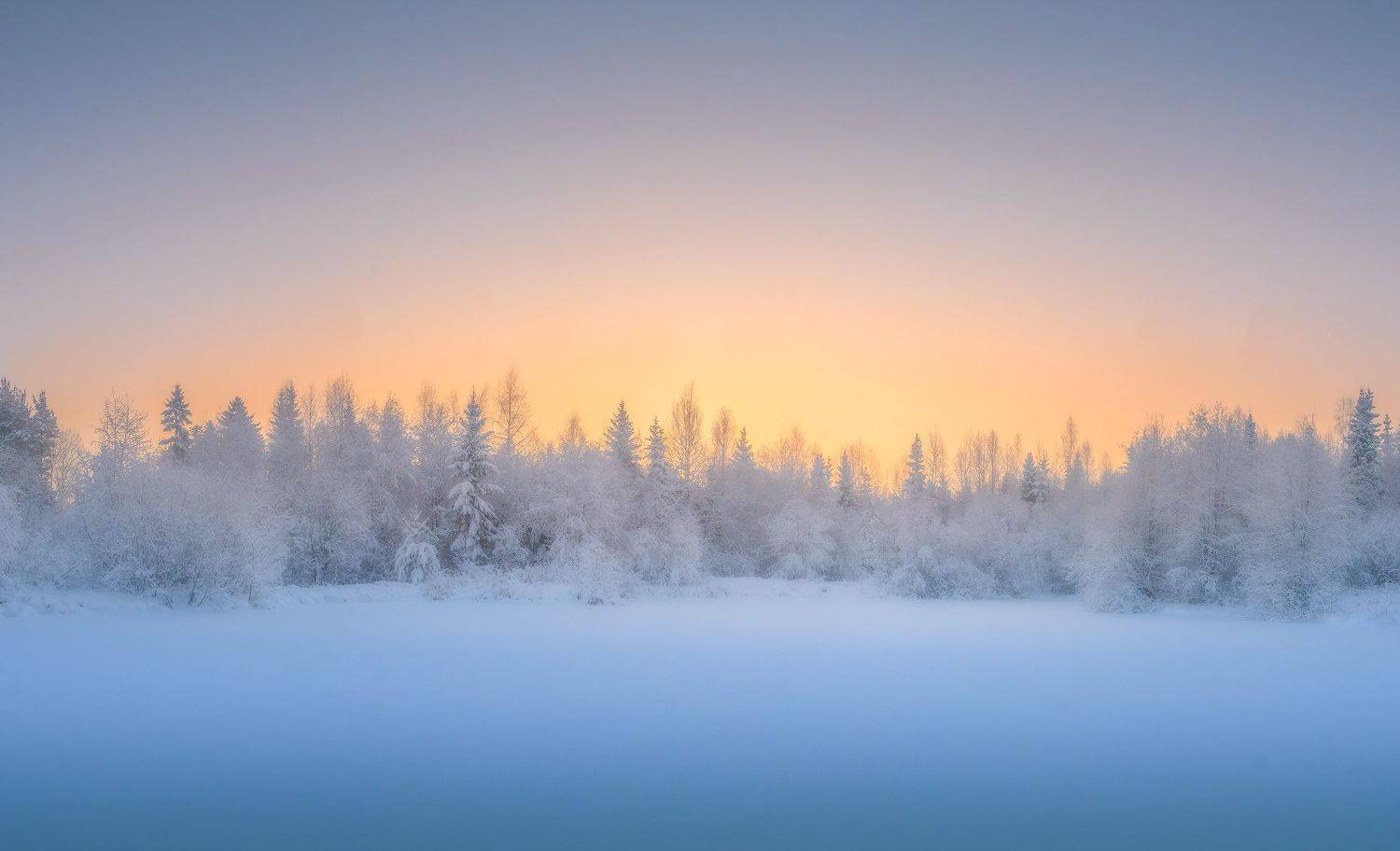 , Евгений Чикишев