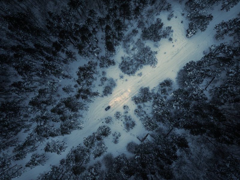 #alone, #forest, #car, #snow Alone in the Dark фото превью
