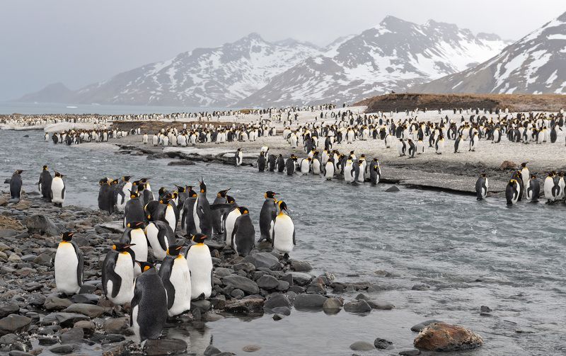 Залив Святого Андреяphoto preview