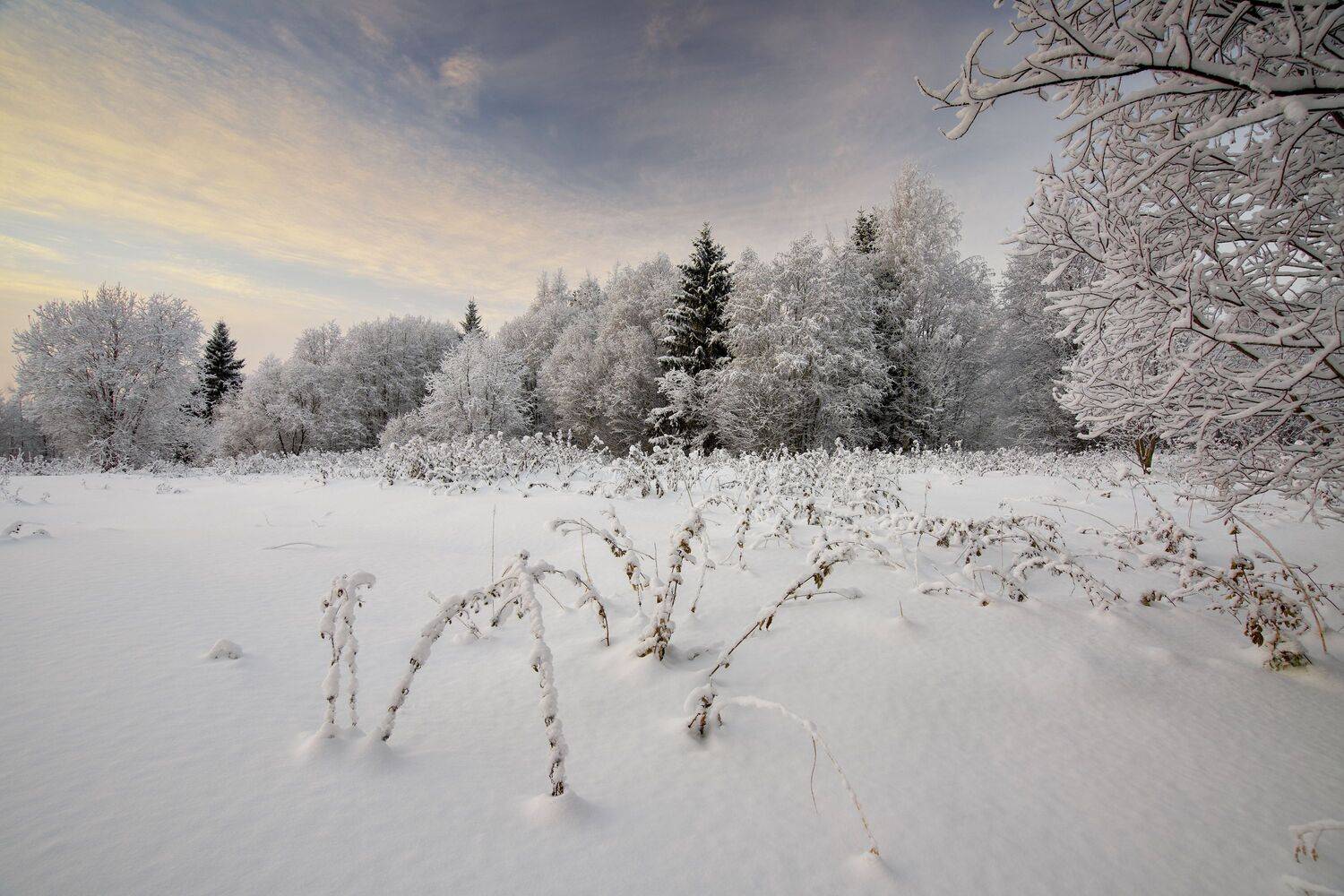 В конце зимнего дня. Автор: Шишпанов Игорь , Шишпанов Игорь