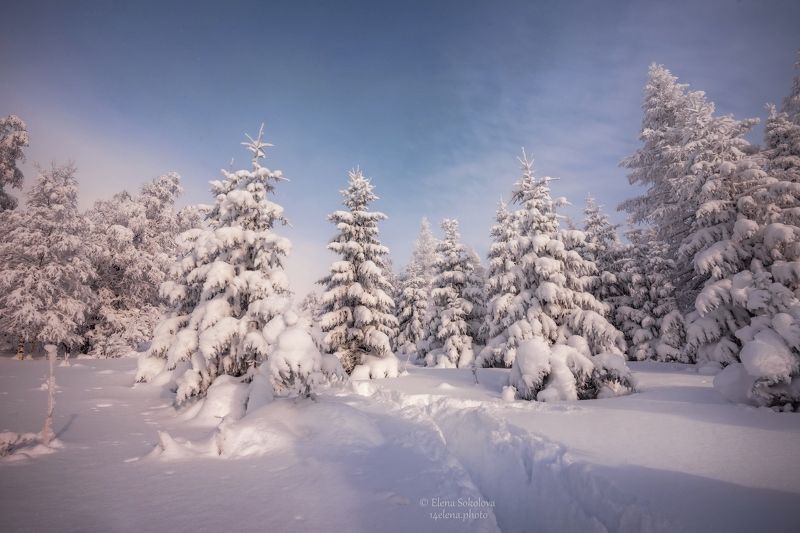 уван, горы, зима, лес, снег, урал Зимняя сказкаphoto preview
