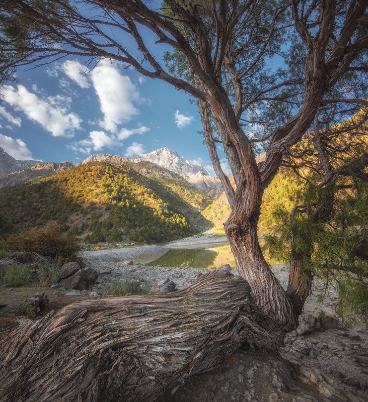 Живописная арча Фанphoto preview