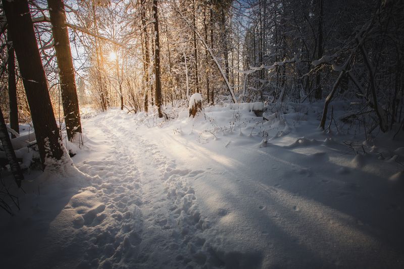 Облачился лес в снега...photo preview