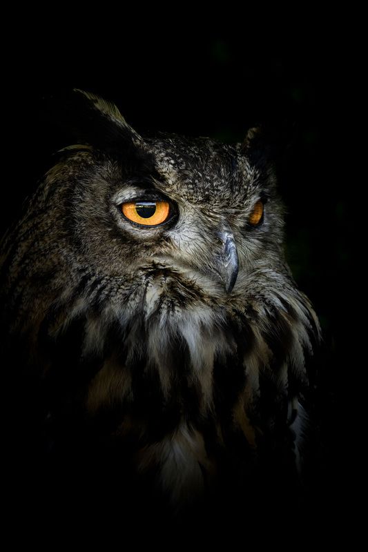 Secret beauty of naturephoto preview