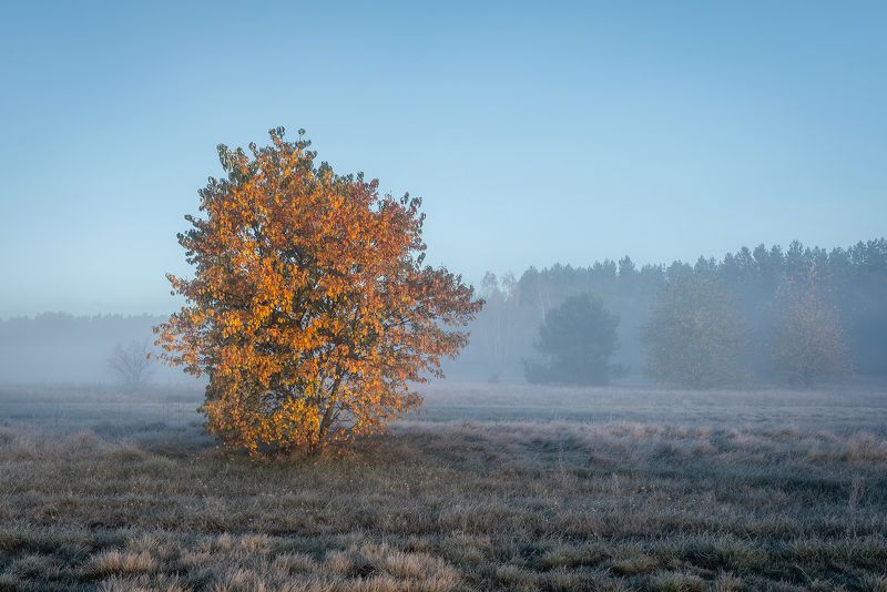 Landscape photography / Polandphoto preview