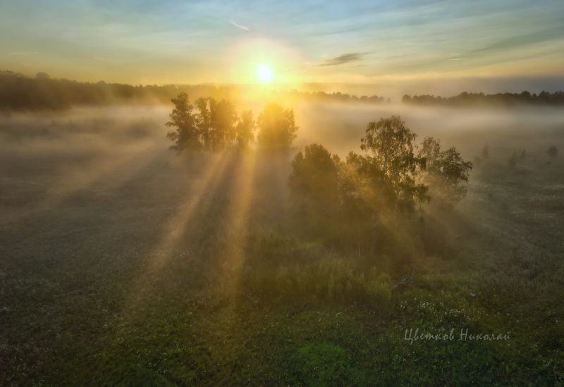 туман, рассвет *photo preview