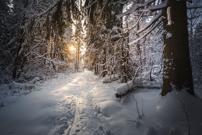 Большие Вяземы Зимнее...photo preview