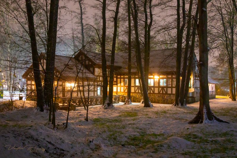 Зеленоградск, город, ночь, стрит, Россия, зима, фотография, огни, снег, Свирин Вадим, 2022, деревья, парк «Зеленоградские огни»photo preview