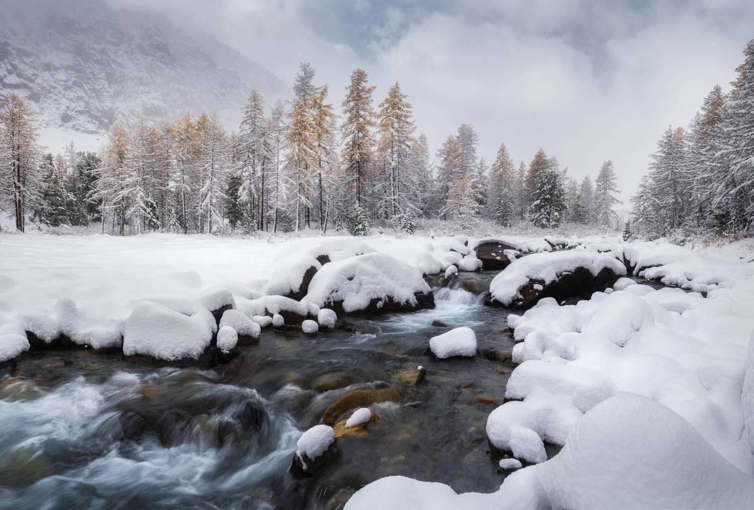 СНежность осени. Автор: Рубан Алена алтай, горный алтай, пейзажи алтая, кош-агачский район, горная река, золотая осень, горы, осенний алтай, горная тайга, горное ущелье, актру, ак-туру, ущелье актру, предзимье, Рубан Алена