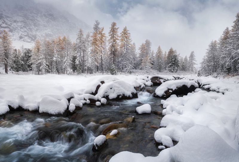 алтай, горный алтай, пейзажи алтая, кош-агачский район, горная река, золотая осень, горы, осенний алтай, горная тайга, горное ущелье, актру, ак-туру, ущелье актру, предзимье СНежность осениphoto preview