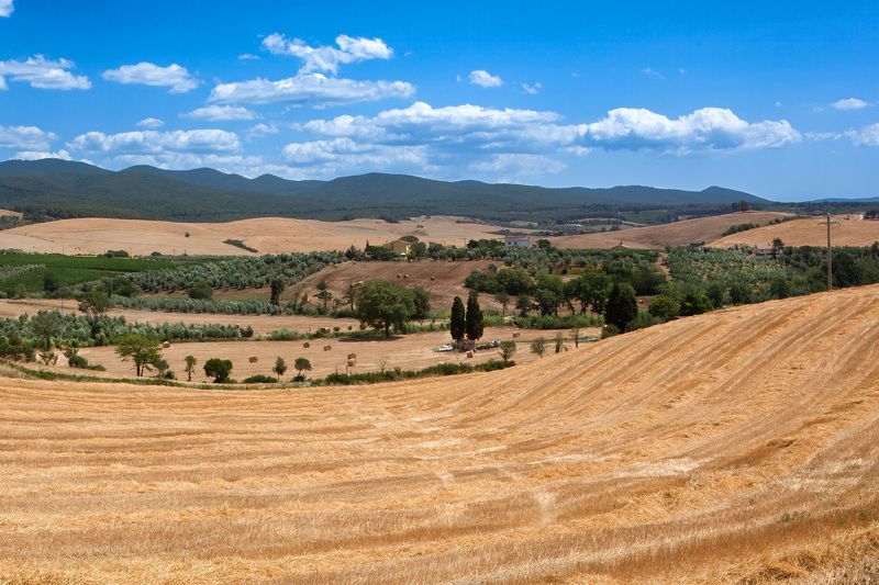 Guardistallo фото превью