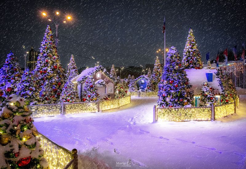 Сказочный лесphoto preview