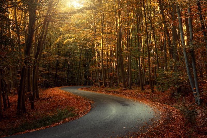 Autumn wayphoto preview