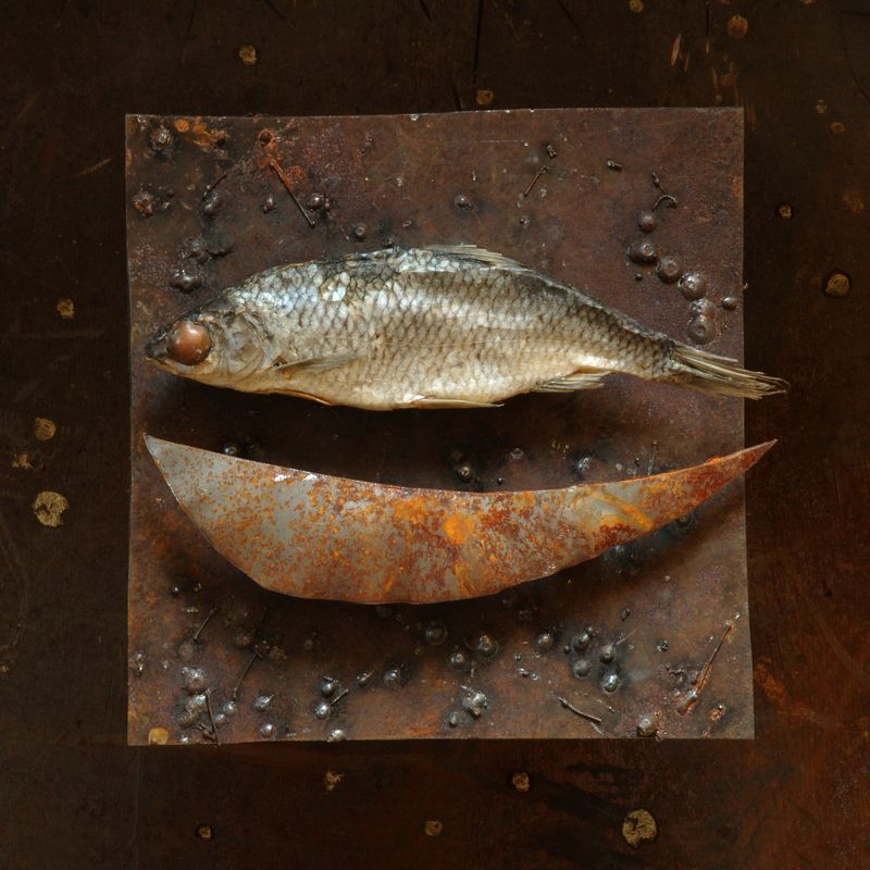 Рыба и квадрат.photo preview