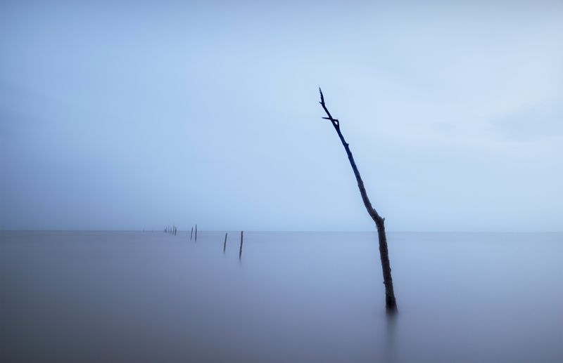 LANDSCAPE MUSHTAphoto preview