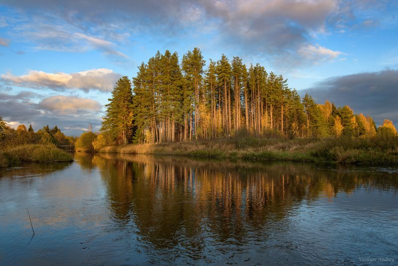 река кобожа, природа, осень, вологодская область Река Кобожаphoto preview