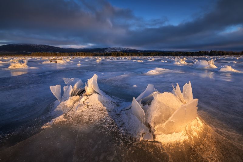 Близнецы...photo preview