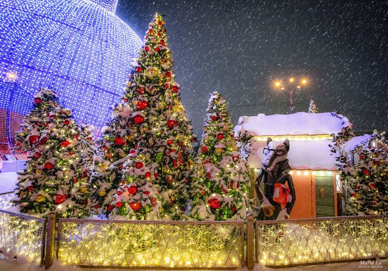 Сказочный лесphoto preview