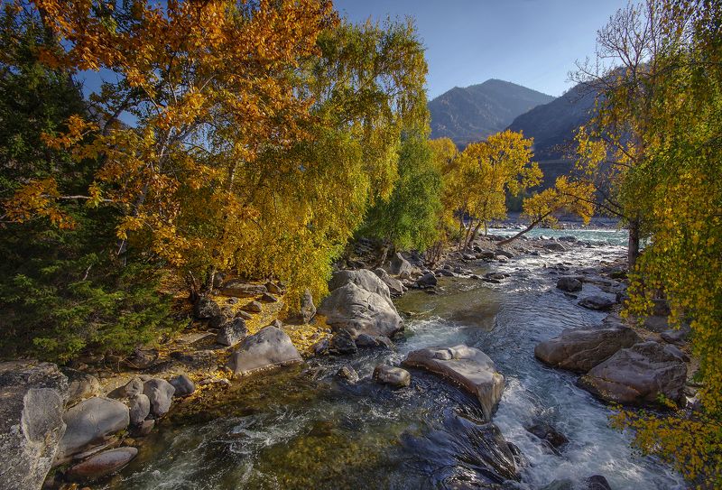 горный алтай, река, большой ильгумень, катунь, сибирь, вода, горы, осень, чуйский тракт Большой Ильгуменьphoto preview
