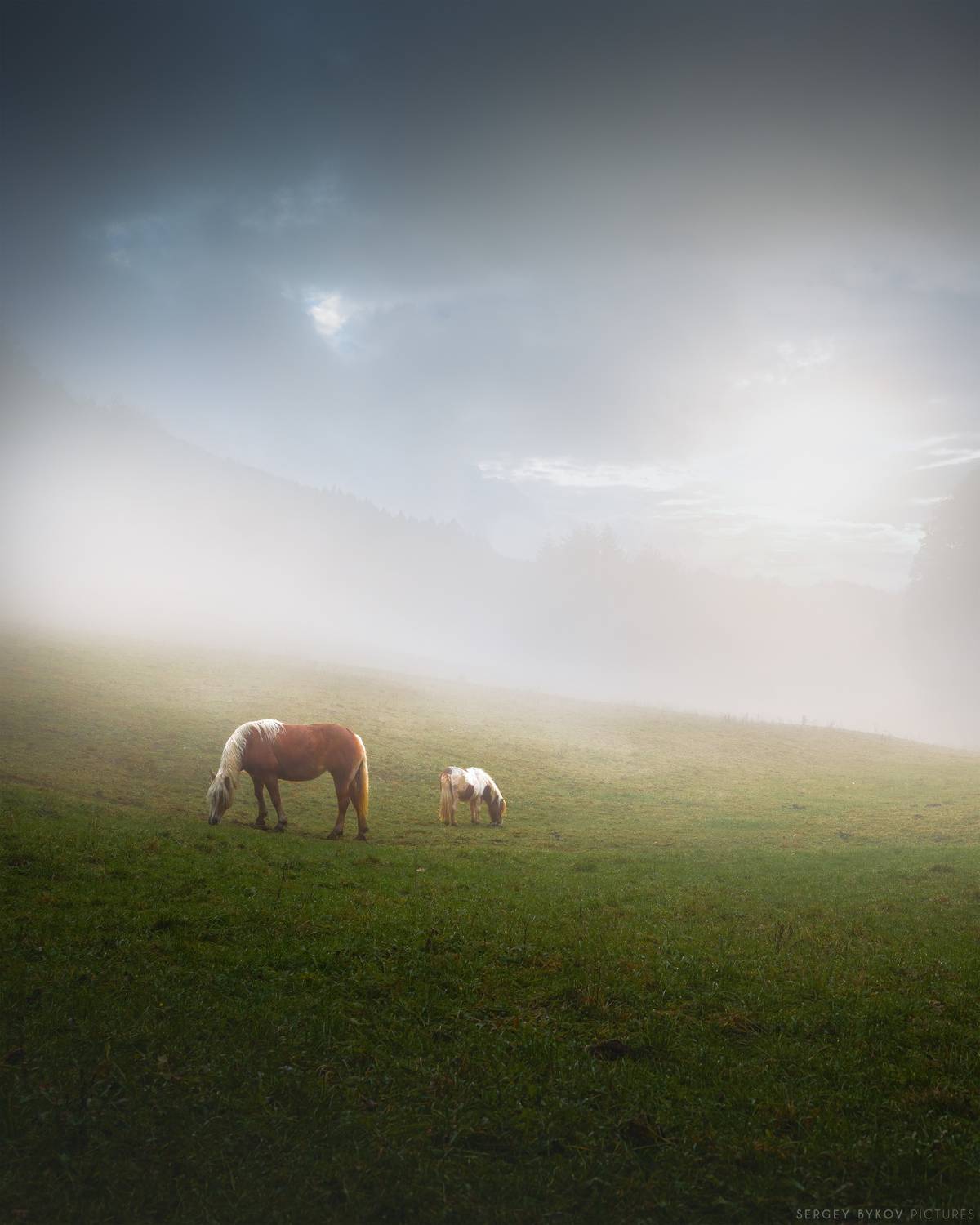 , Быков Сергей