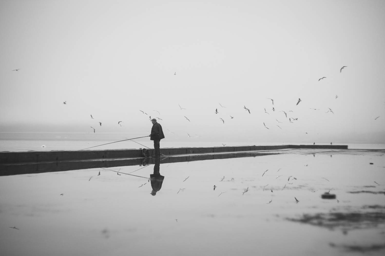 зима, уличное, стрит, черно-белое, монохромное, жанр, атмосферное, рыбалка, зеркальное, отражения, тишина, советская оптика, винтажный объектив, гелиос 40-2, helios 40-2, рыбак, черное море, керчь, россия, Щербак Анатолий