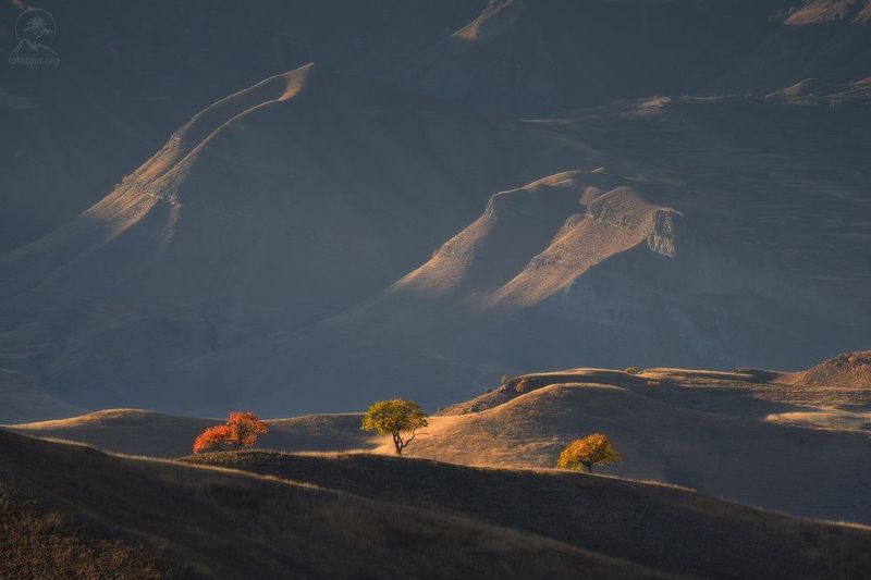 дагестан, чох, террасы, тур в дагестан, фототур в дагестан, путешествие в дагестан Картины прошедшей осениphoto preview