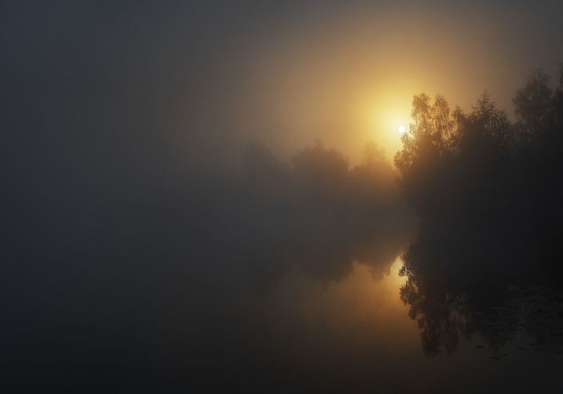 самый приятный свет...photo preview