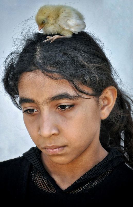 The winds of sadness do not have mercy on anyone, they pass over everyone without mercyphoto preview