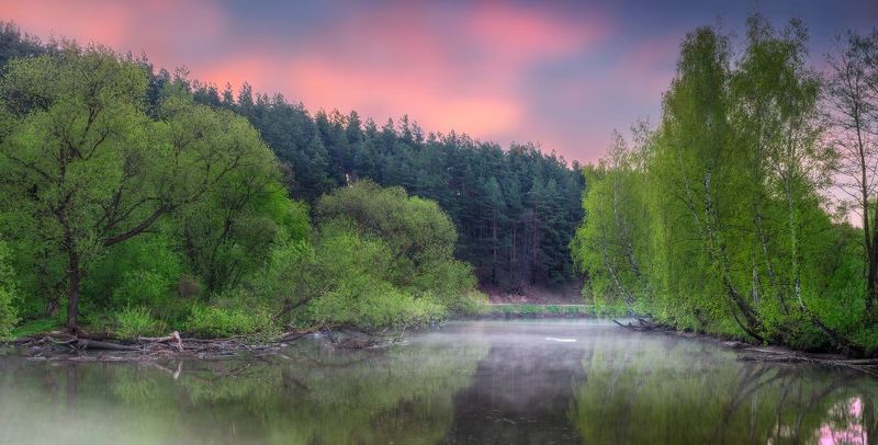 утро река,весна, лес, дымка, Веснаphoto preview