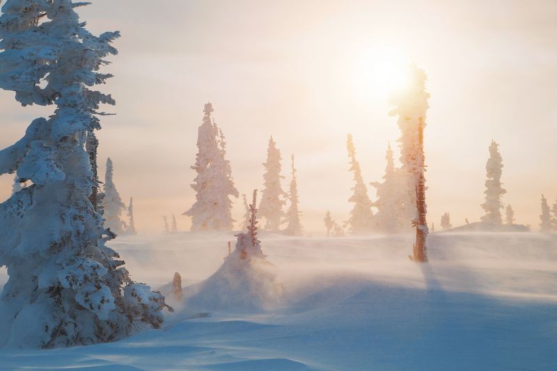 шерегеш, сибирь, зима, метель, ветер, снег, солнце, природа, пейзаж Сговор ветра с морозом... фото превью