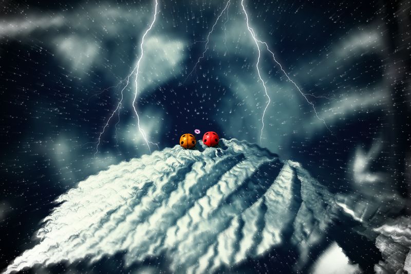 creative, креатив, манипуляция, концепция, счастье, цифровое, искусство, digital, art, together, happiness, happy Вместе, несмотря ни на что...photo preview