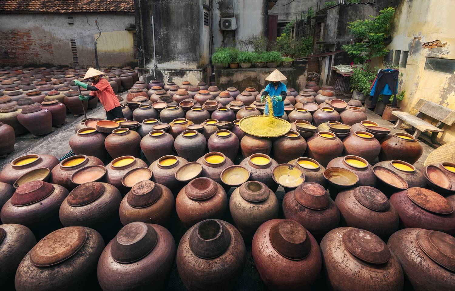 Производство традиционного вьетнамского соeвого соуса / Production of Vietnamese traditional soy sauce. Автор: Эрнест Вахеди вьетнам, ханой, деревня, бан йен нхан, производство, традиционный, вьетнамский, азия, соевый соус, vietnam, ban yen nhan, village, soy sauce, production, vietnamese, traditional, Эрнест Вахеди