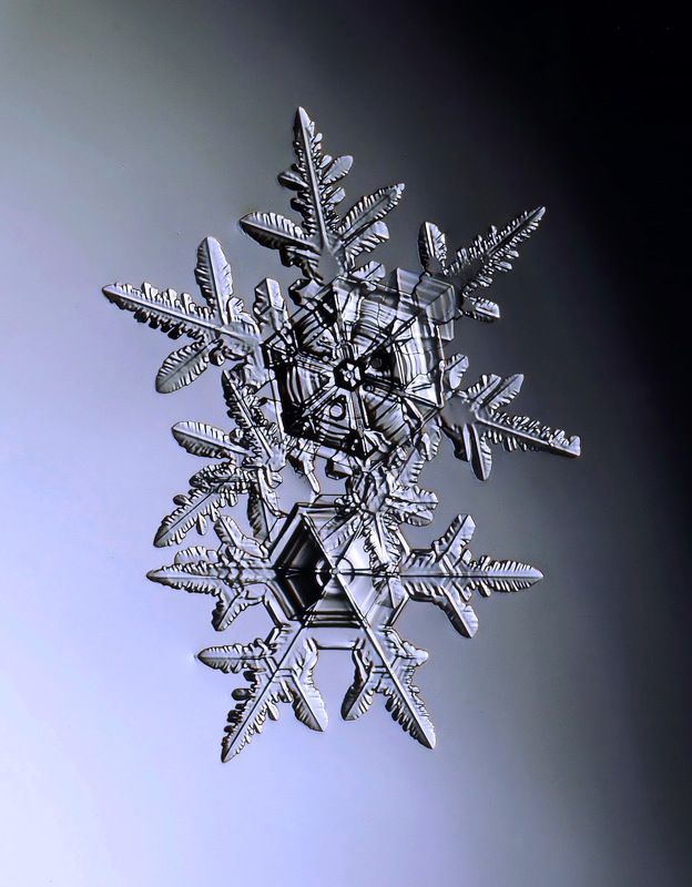 Созвездиеphoto preview