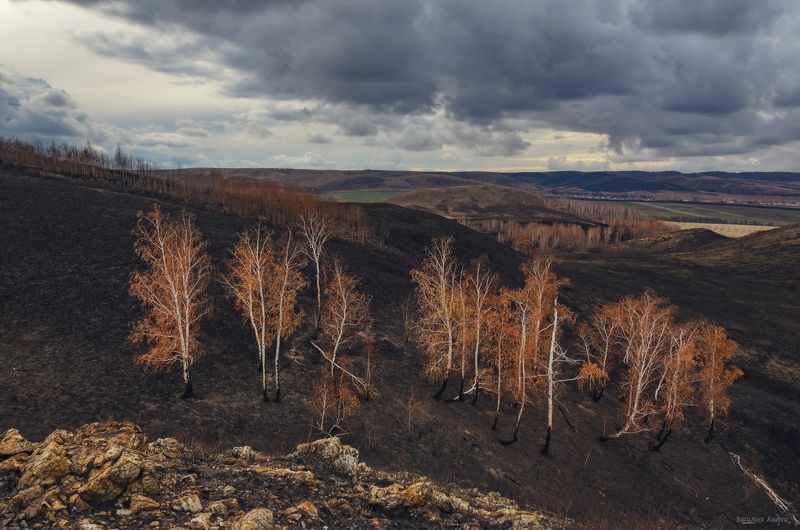 природа, оренбургская область, осень Берёзкиphoto preview