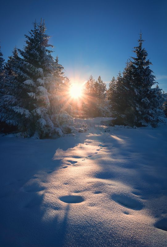 winter, sunset, snow, mountain Sun pathphoto preview