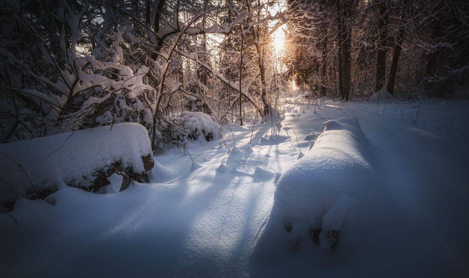 Здравствуй зима.... Автор: Зеленько Дмитрий зима Московская обл. природный резерват "Долина реки Вяземка", Зеленько Дмитрий
