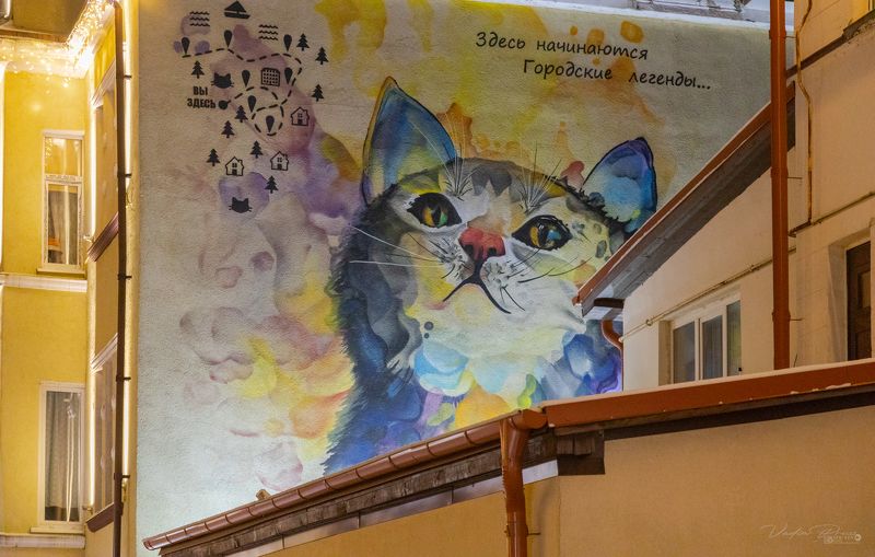 граффити, Зеленоградск, Россия, искусство, фотография, кот, Свирин Вадим, 2022, крыша, улица, свет «Зеленоградское граффити»photo preview