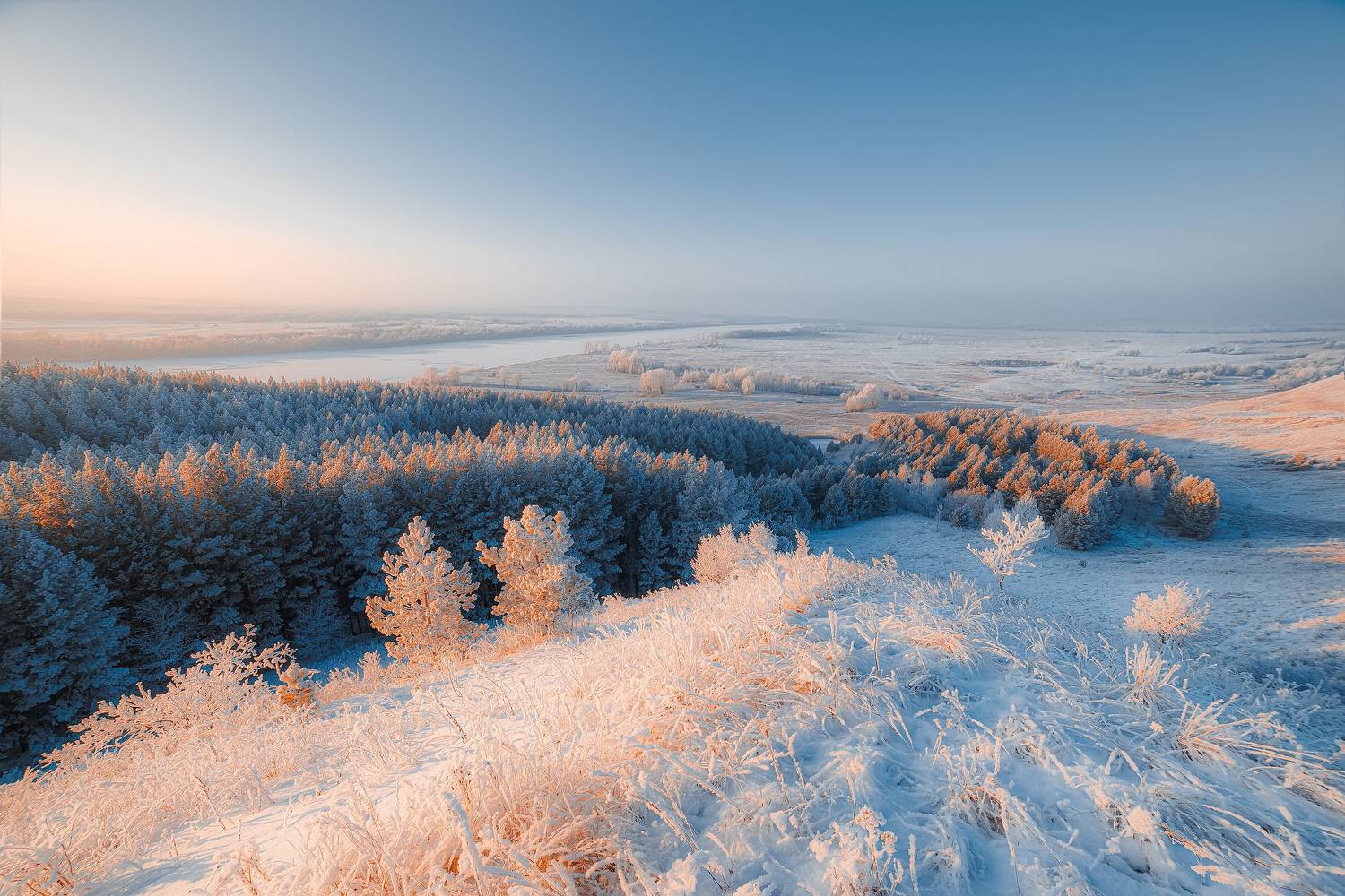 Автор: Никитин Алексей , Никитин Алексей