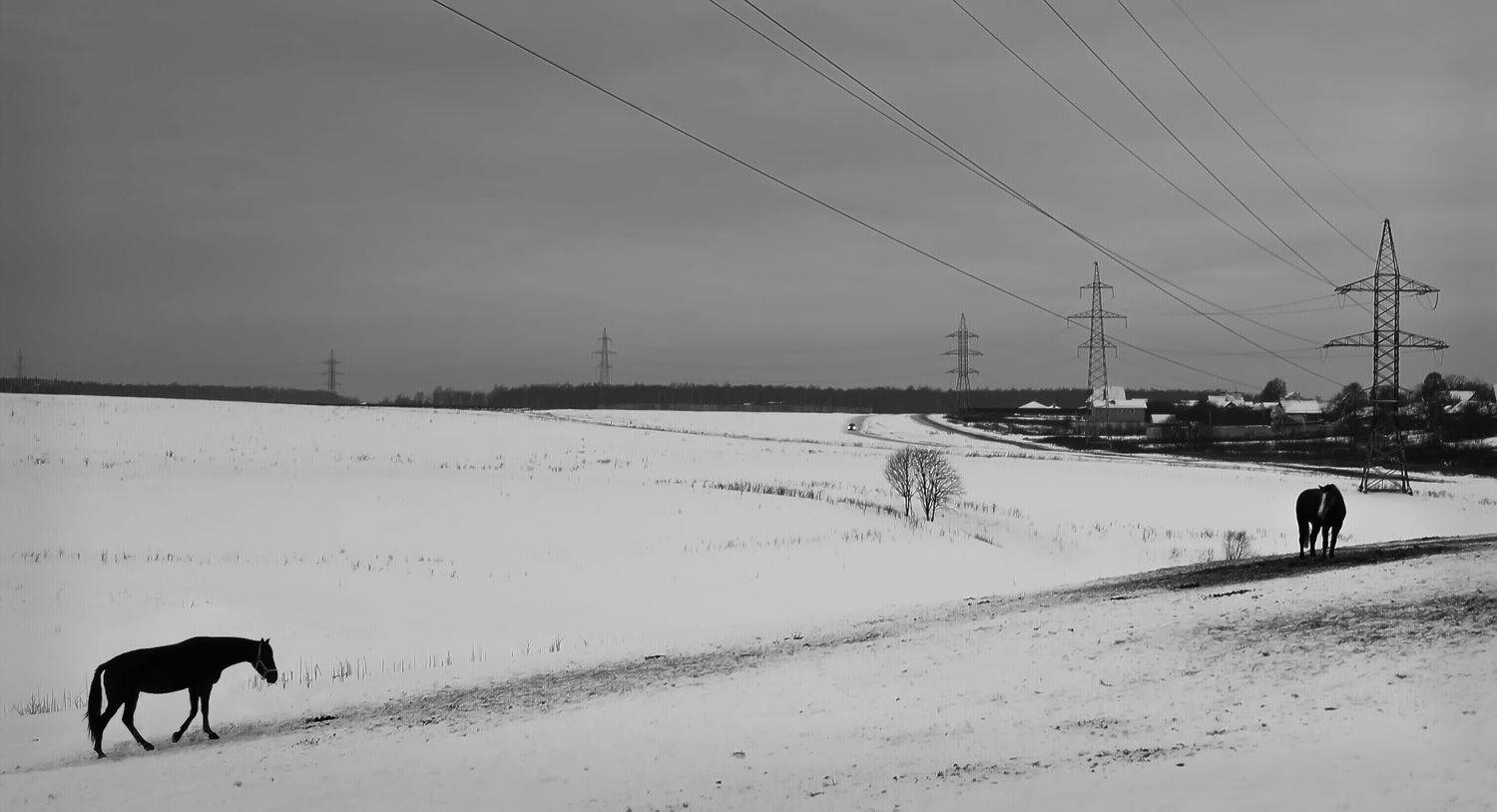 Долго тебя ждать?. Автор: Васенков Геннадий , Васенков Геннадий