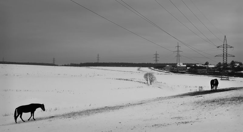 Долго тебя ждать? фото превью