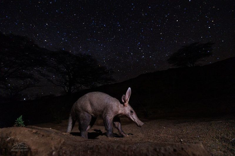 Оконченная история.photo preview