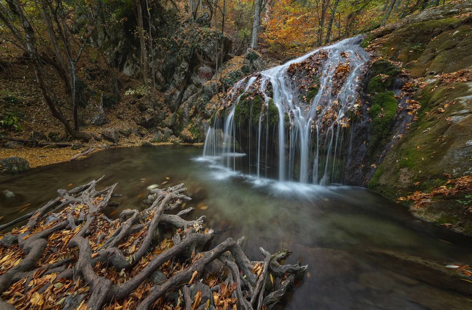 , Плеханов Александр