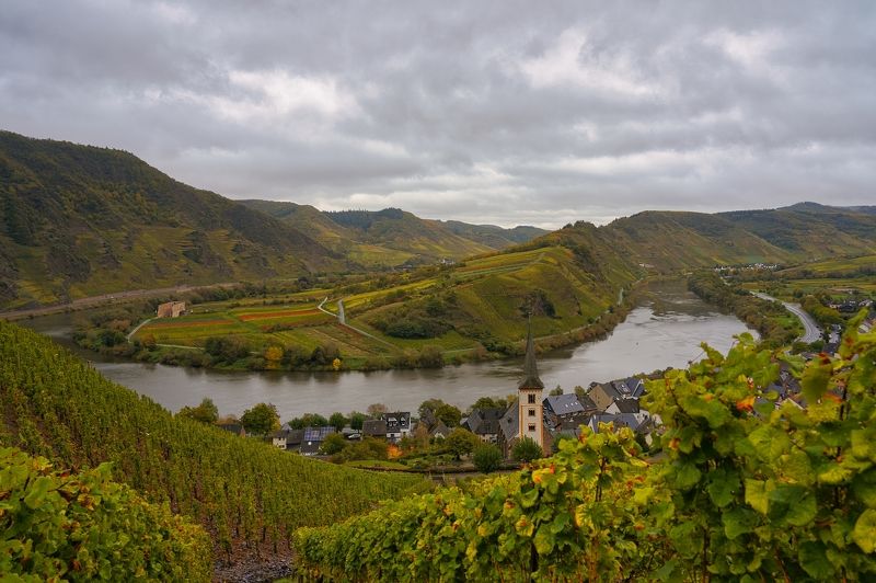 мозельвиноград, рислинг,мозельская петля,кохем замок Vineyardsphoto preview