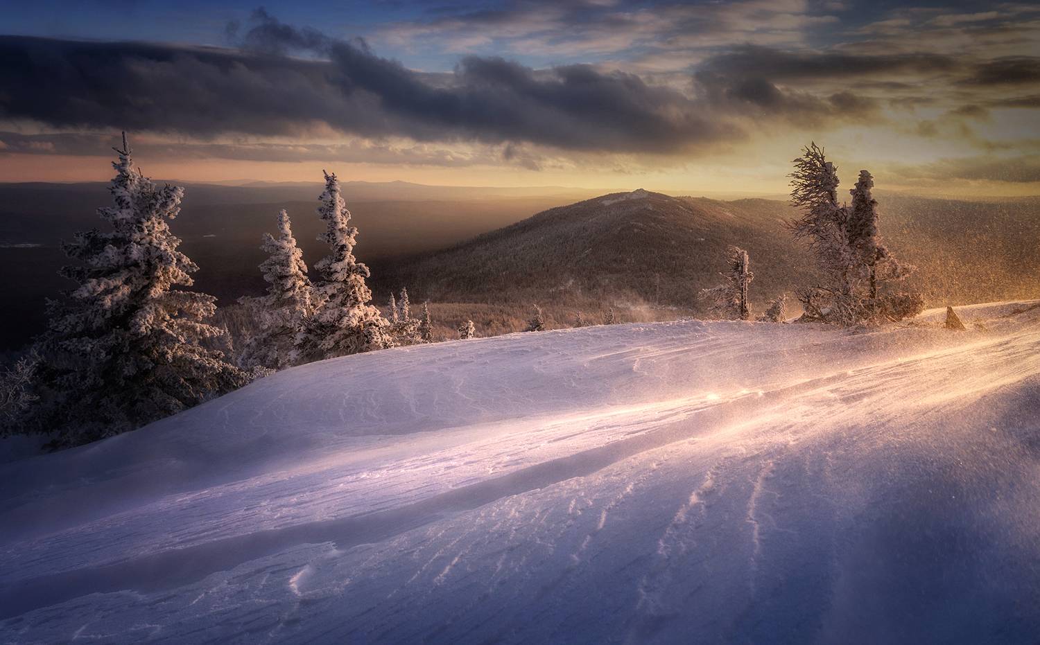 , Бирюкова Татьяна