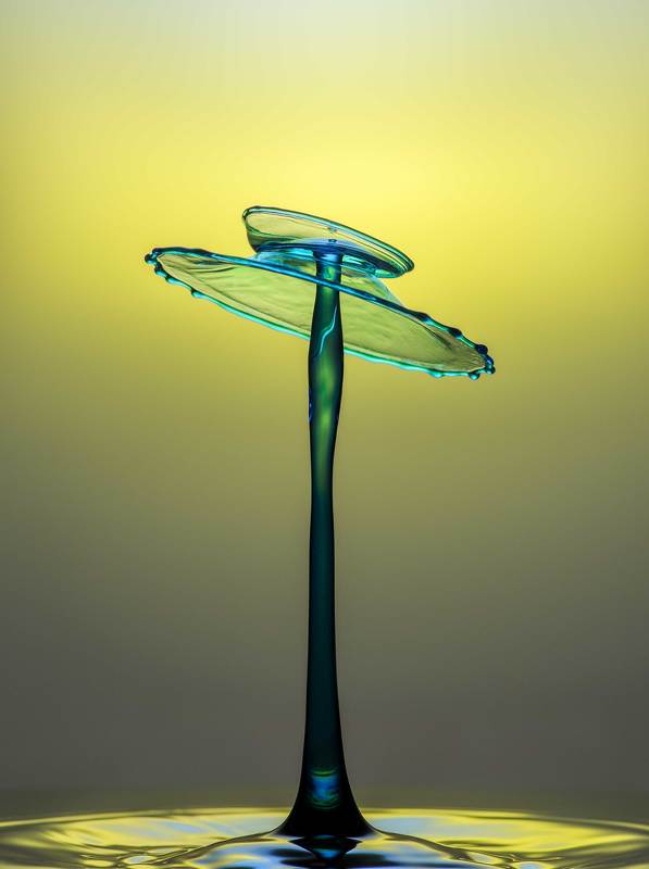 Dances with Dropsphoto preview