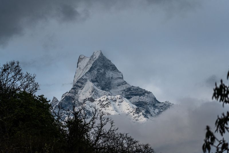 непал, гималаи, горы, мачапучаре, nepal, himalaya, mountains, machapuchare, fishtail Fishtail фото превью